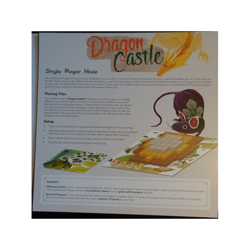Dragon Castle: Single Player Mode